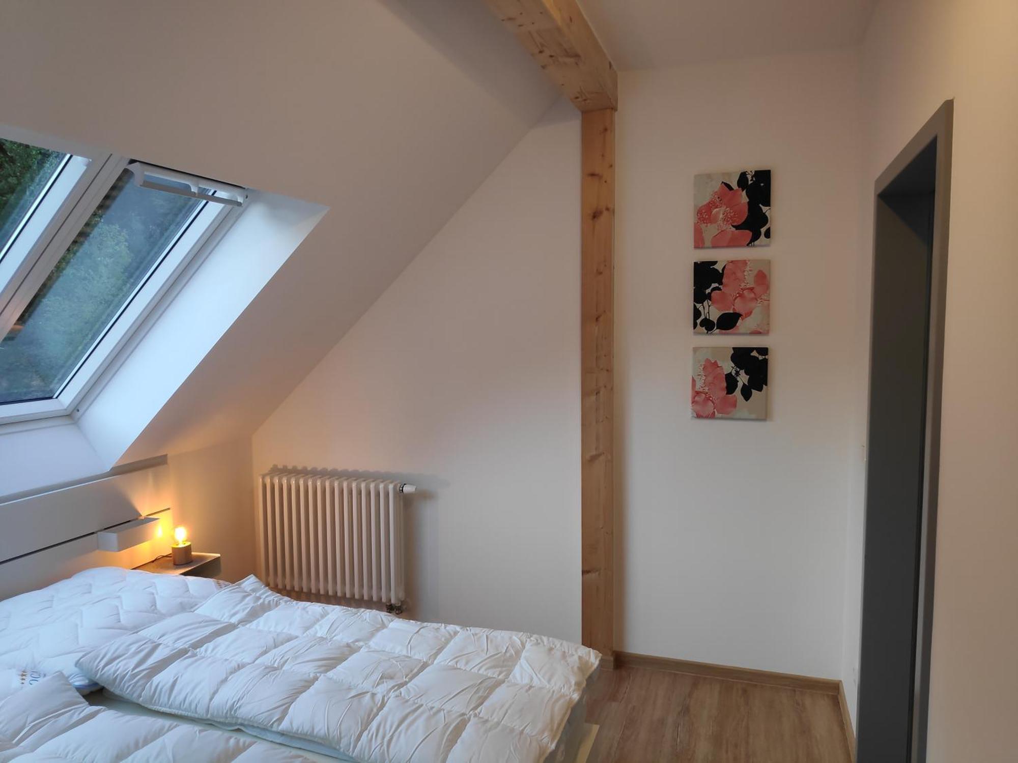 Thalmuehle Aparthotel Meisdorf Rom bilde
